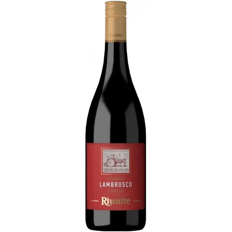 Lambruso Rot Wein 0,20 ml